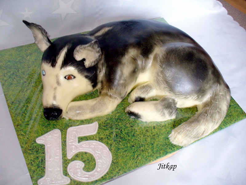 Sibiřský husky