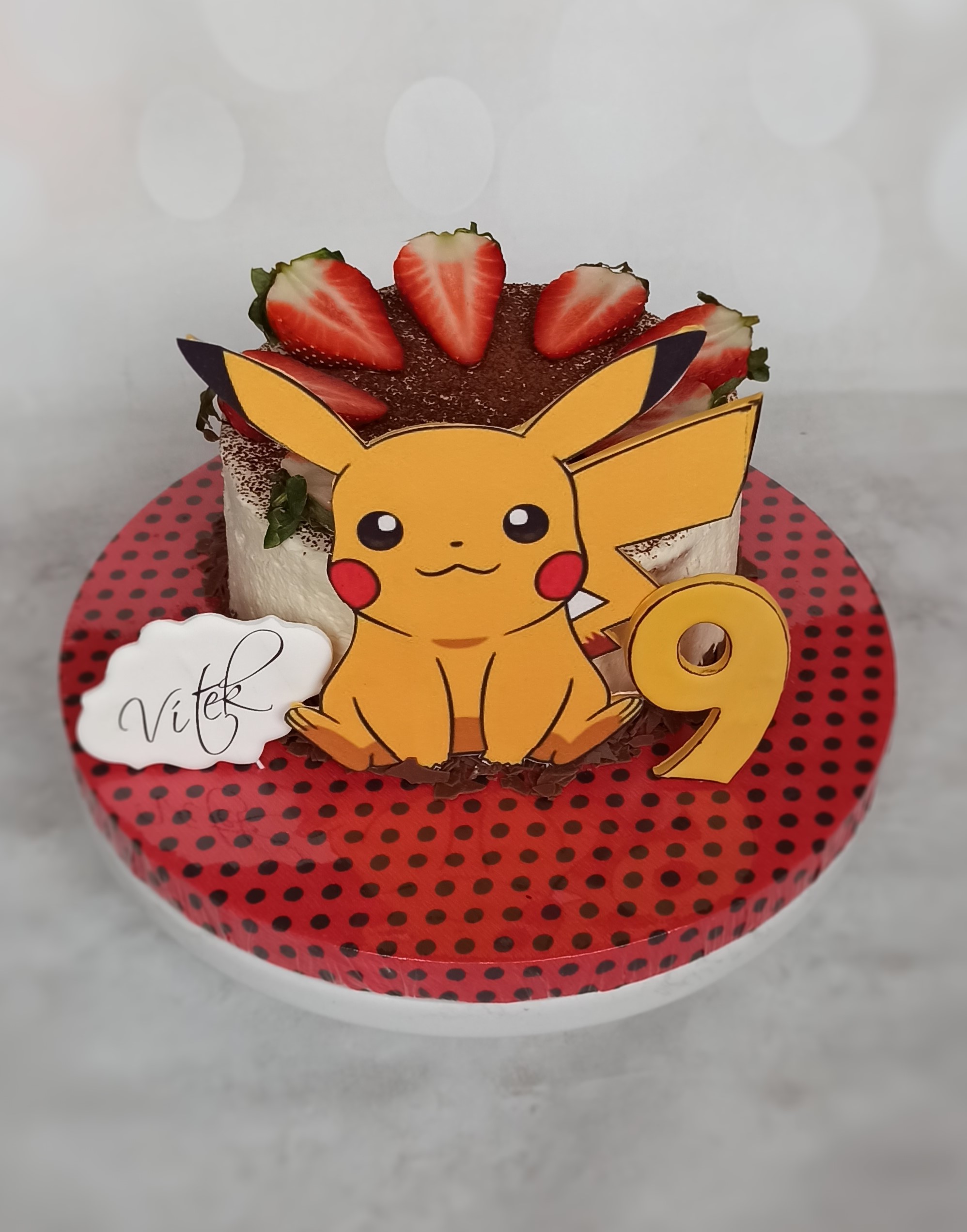 1793. Pikachu pro Vítka