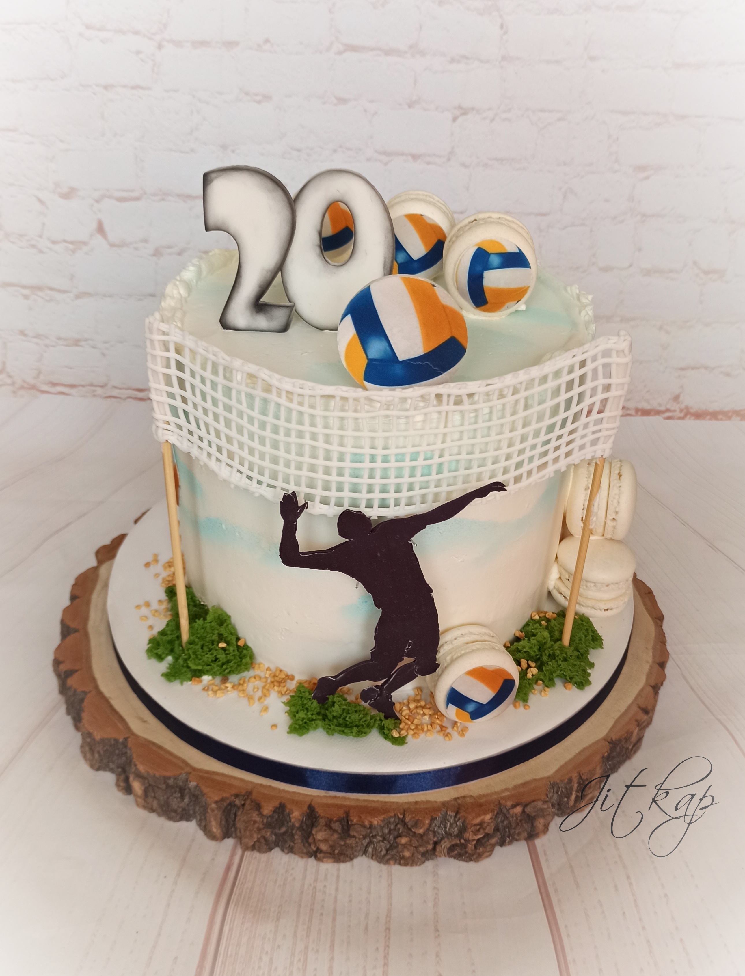 2077. Volejbal