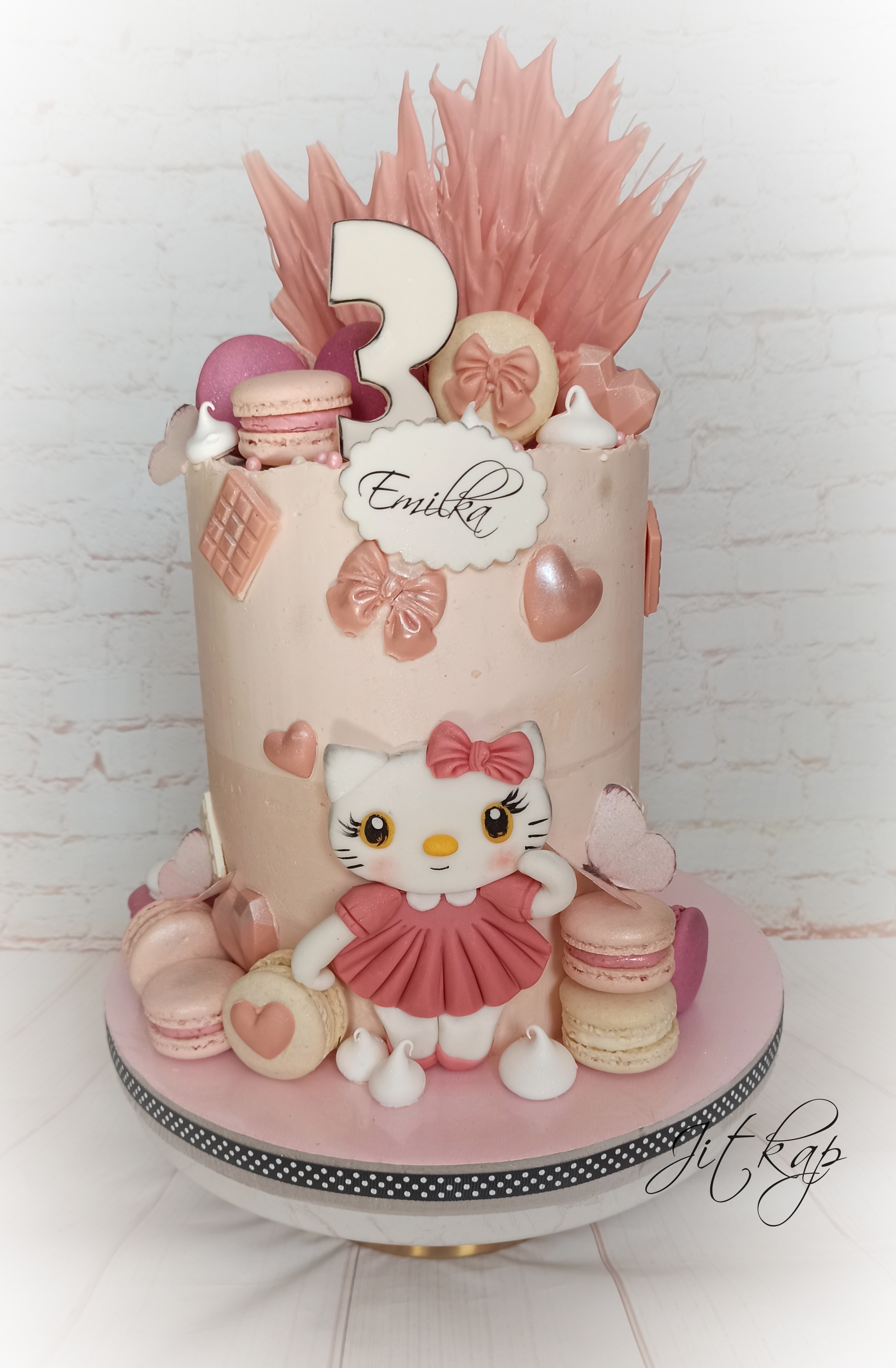 2121. Kitty pro Emilku