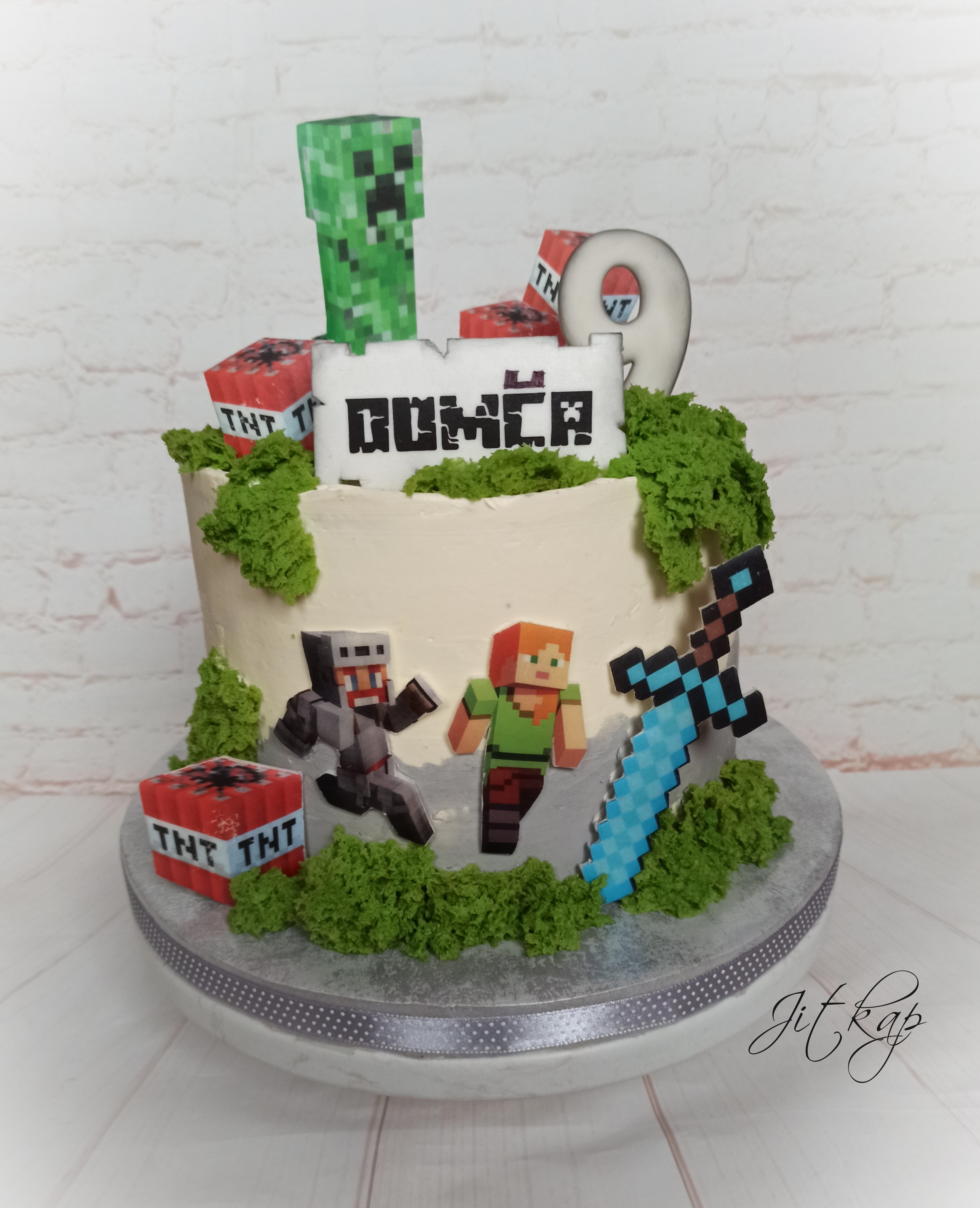 2124. Minecraft pro Domču