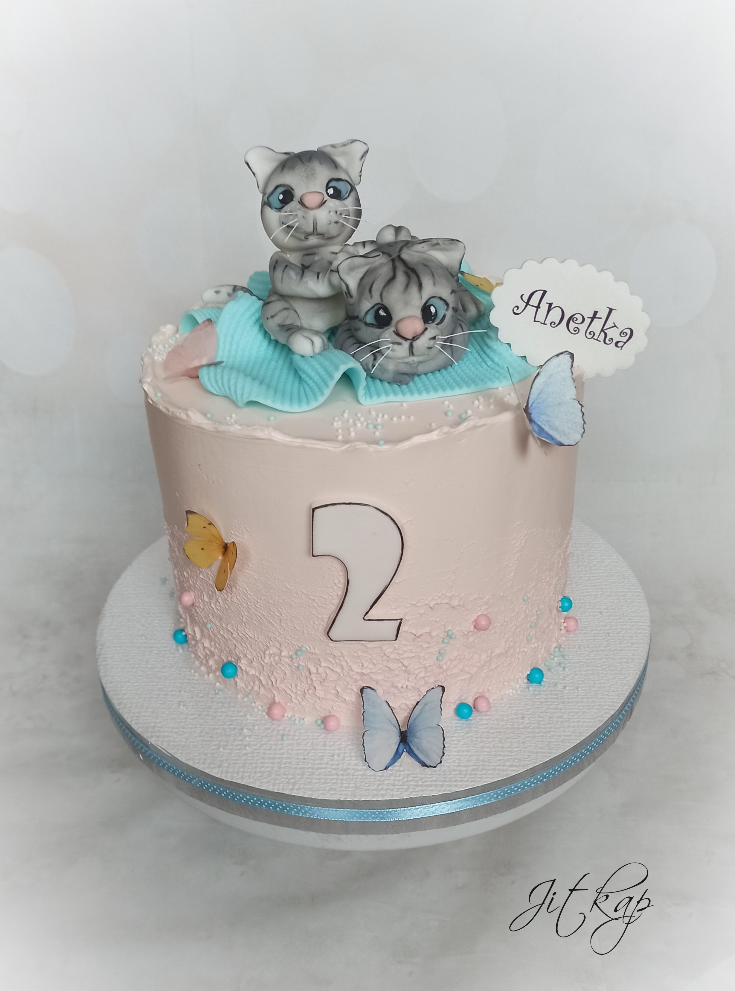 2146. Kočičky pro Anetku